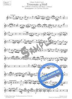 Triosonate g-Moll von Johann Friedrich Fasch 