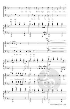 Good Vibrations von Beach Boys 