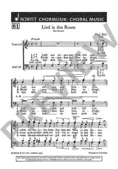 Lied in den Rosen von Paul Zoll 