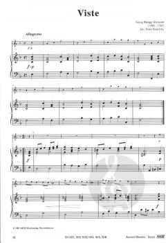 Swing Starters von Erik Veldkamp 