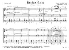 Ruhige Nacht von Metodej Prajka 