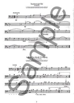 Pink Guitar von Henry Mancini 