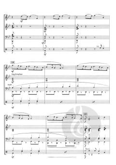 Concerto d'Amore von Jacob de Haan 