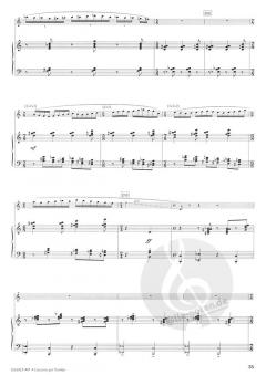 Concerto per Tromba von Jan van der Roost 