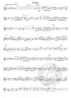 Concerto per Tromba von Jan van der Roost 