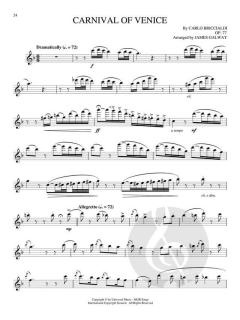 The Very Best of James Galway von Sir James Galway 