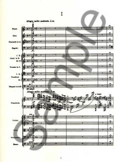 Piano Concerto von Edvard Grieg 