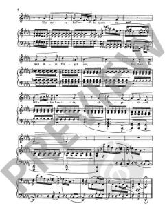 Mondnacht & Frühlingsnacht op. 39/5 & op. 39/12 von Robert Schumann 