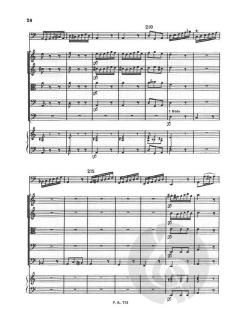 Concerto A Minor Bassoon Strings Continuo Rv499 Score Fviii#12 T223 von Antonio Vivaldi 