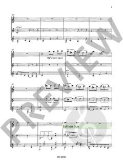 Concierto de Samba von Klaus Wüsthoff 