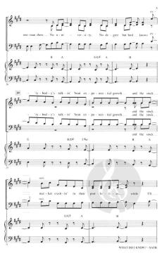 What Do I Know? von Ed Sheeran 