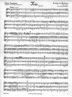 Trio Op. 87 von Ludwig van Beethoven 