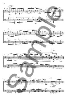 Spins And Spells von Kaija Saariaho 