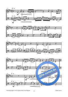 Duettino Nr. 13 von Julien Keymolen 