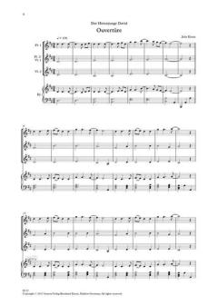 Der Hirtenjunge David von Julia Krenz 