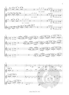 Der Hecht von Agnes Dorwarth 