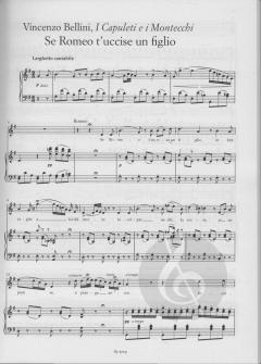 Willkommen in der Oper (Mezzosopran) 