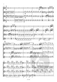 Tricky Flutes von Luc Grethen 