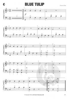 Easy Solos for Accordion von Fons van Gorp 