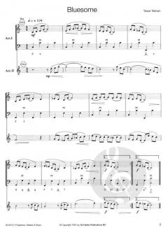 Ragtimes, Ballads & Blues von Tesse Telman 