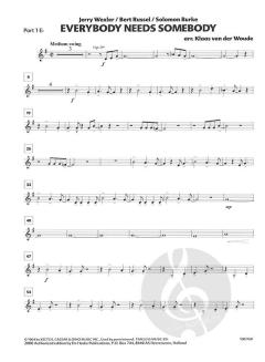 Everybody Needs Somebody von The Blues Brothers 