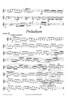 Multistyle Studies von Frits Damrow 