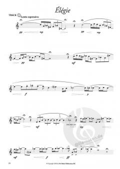 Multistyle Studies von Frits Damrow 