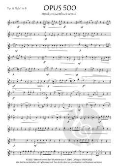Opus 500 von Gottfried Hummel 