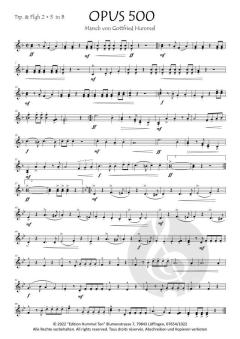 Opus 500 von Gottfried Hummel 
