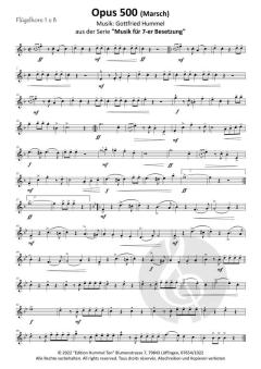 Opus 500 von Gottfried Hummel 