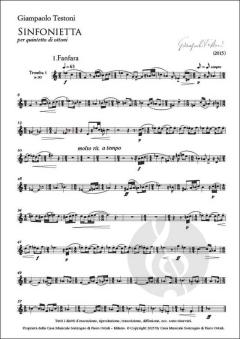 Sinfonietta von Giampaolo Testoni 