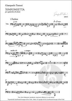 Sinfonietta von Giampaolo Testoni 