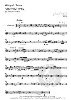 Sinfonietta von Giampaolo Testoni 