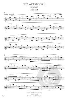 PATA Workbook 2: beyond von Norbert Stein 