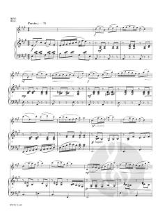 Concerto in A Major no. 1 - Layla von Ewa Iwan 