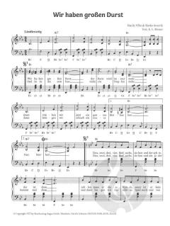 12 Oberkrainer Erfolge 3 von Slavko Avsenik 