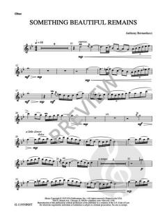 Something Beautiful Remains von Anthony Bernarducci 