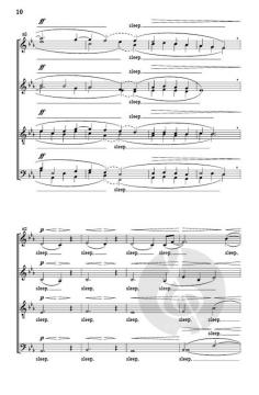 Stopping By Woods on a Snowy Evening von Eric Whitacre 