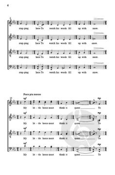 Stopping By Woods on a Snowy Evening von Eric Whitacre 