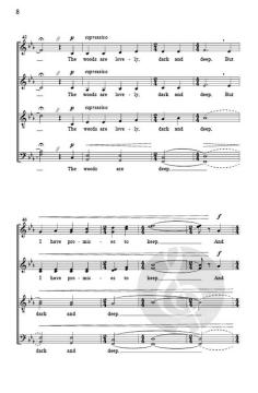 Stopping By Woods on a Snowy Evening von Eric Whitacre 