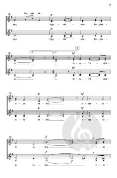 Ngothando von Mbuso Ndlovu 