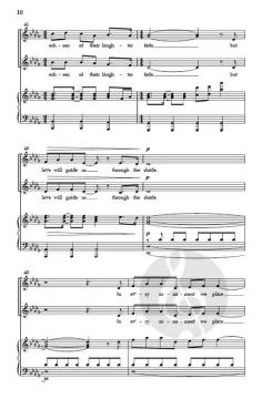 Through the Shade von Blake Richter 