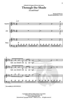 Through the Shade von Blake Richter 