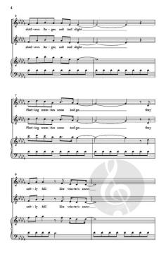 Through the Shade von Blake Richter 