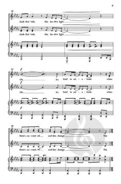 Through the Shade von Blake Richter 