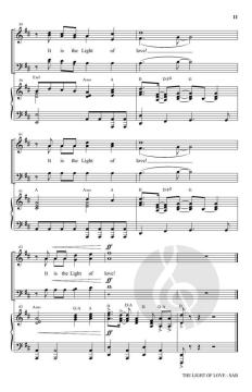 The Light Of Love von Michael Barrett 