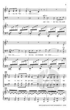 How Marvelous! How Wonderful! von Larry Shackley 