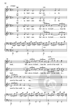 Kindness von Sean Ivory 