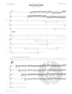 Zerrissene Stille von David Philip Hefti 