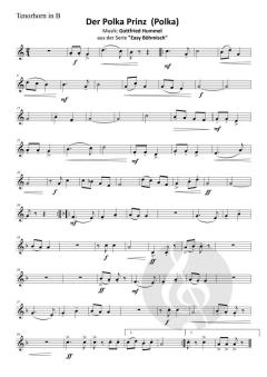 Der Polka Prinz (Polka) von Gottfried Hummel 